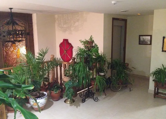 Hotel Fuentes Torrecaballeros